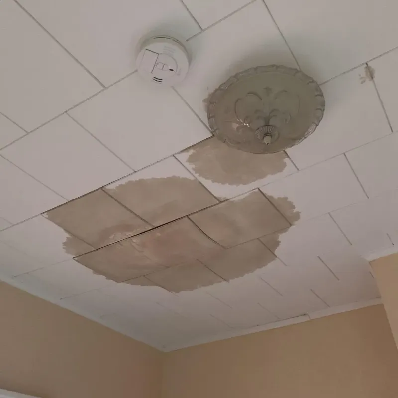 Ceiling Water Damage Repair in Clay County, MN