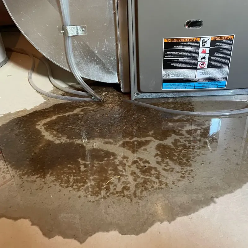 Pipe Burst and Leak Restoration in Clay County, MN