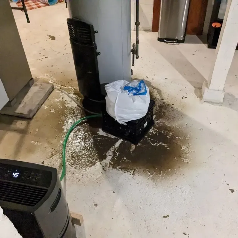 Sewage Backup Cleanup Service in Clay County, MN